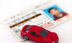 日本の運転免許証写真